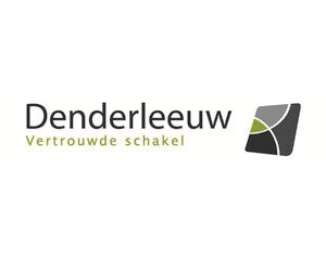 Logo Lokaal Bestuur Denderleeuw